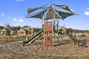 Pinewood at Grand Texas