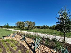 Cascades at Onion Creek