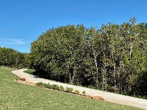 Cascades at Onion Creek