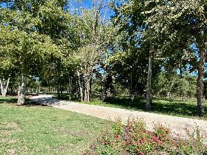 Cascades at Onion Creek