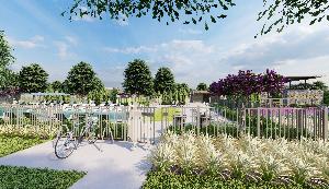 Cross Creek Meadows 60s