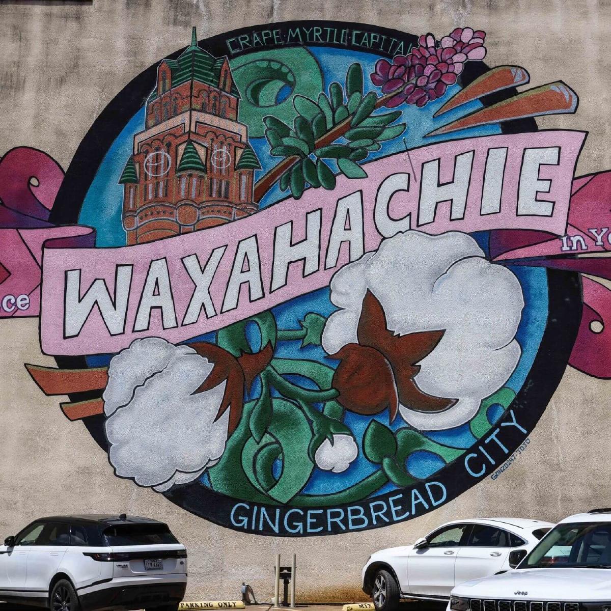 Cross Fence at Oak Vista