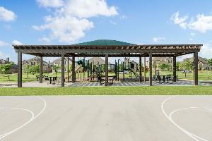 The Oasis at North Grove 60-70