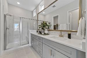 Lexington Frisco Duets 41s