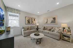 Lexington Frisco Duets 41s