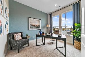 Lexington Frisco Duets 41s