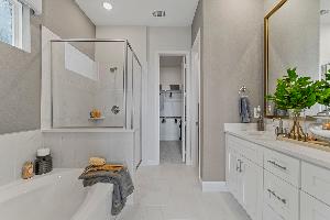 Lexington Frisco Duets 41s