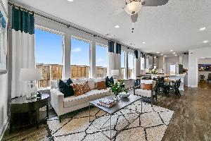 Lexington Frisco Symmetry 37s