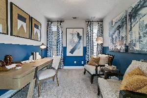 Lexington Frisco Symmetry 37s