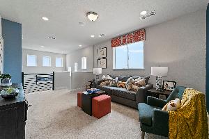 Lexington Frisco Symmetry 37s