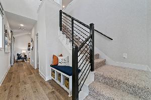 Lexington Frisco Symmetry 37s