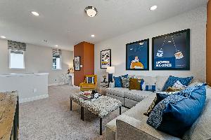 Lexington Frisco Symmetry 37s