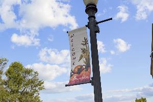 The Townes at Farmingdale