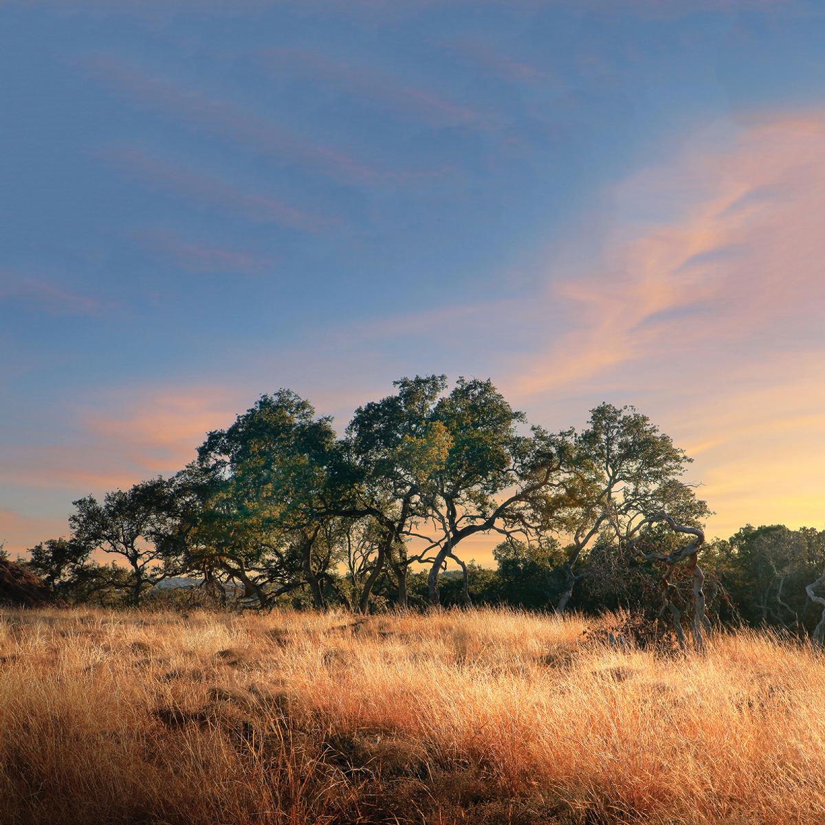 Lakeside at Tessera on Lake Travis
