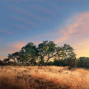 Lakeside at Tessera on Lake Travis