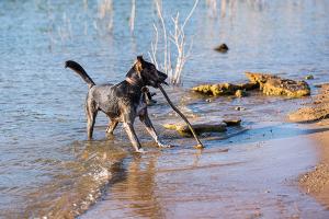 Lakeside at Tessera on Lake Travis