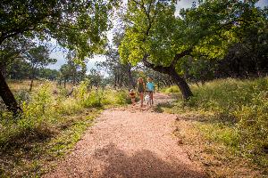 Lakeside at Tessera on Lake Travis