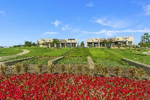 Lilybrooke at Legacy Hills