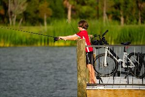 Palmera at Wellen Park