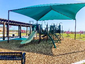 The Oasis at North Grove 75-80