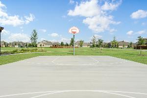 The Retreat at North Grove 60-70