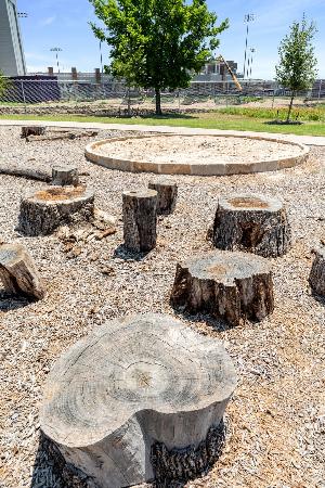 Godley Ranch Elements