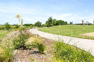 Godley Ranch Elements