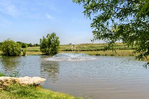 Wildcat Ridge Phase 2 and 4