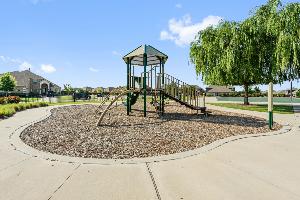 Willow Wood Classic 50