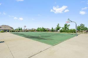 Willow Wood Classic 50