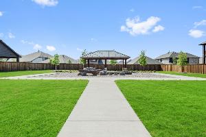 Willow Wood Classic 50