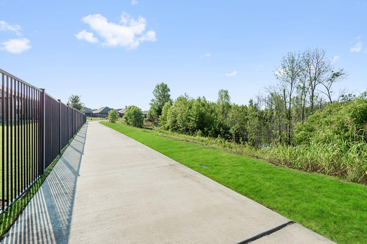 Willow Wood Classic 60