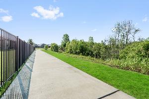 Willow Wood Classic 60