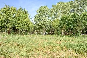 Star Ranch Classic 60