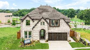 Willow Wood Classic 50