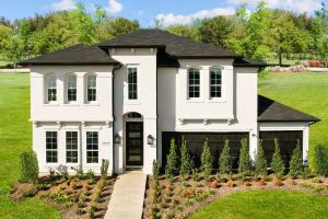 Lexington Frisco Impression 55s