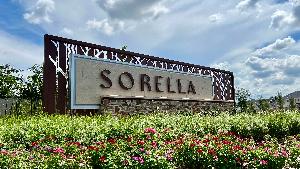 Sorella 40s