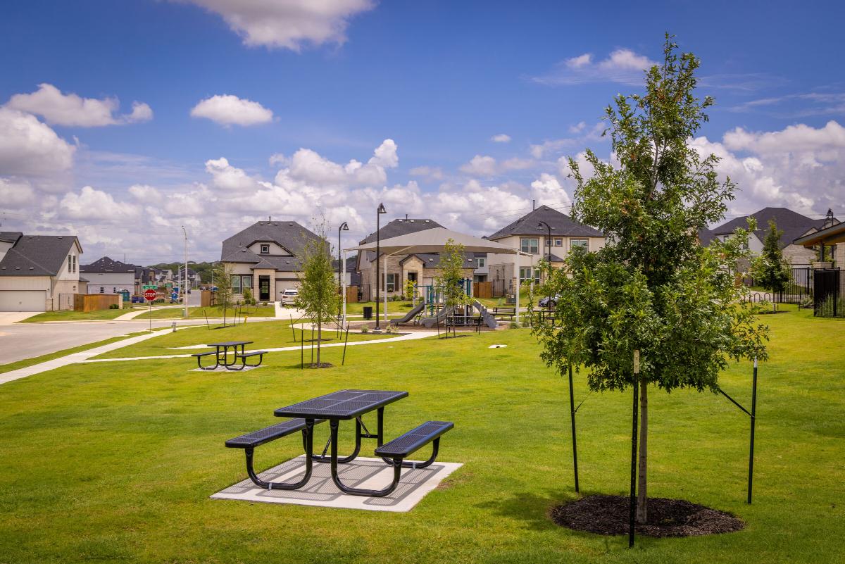 Cascades at Onion Creek