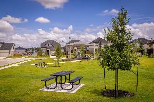 Cascades at Onion Creek