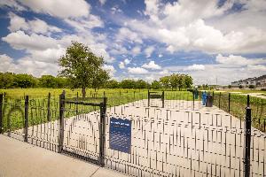 Cascades at Onion Creek