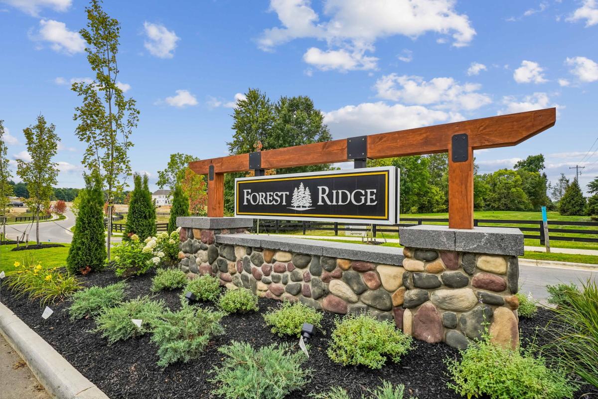 Forest Ridge