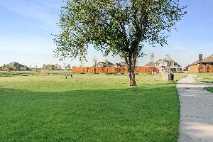 Hulen Trails Elements