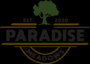 Paradise Meadows