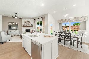 Wildcat Ridge Phase 2 and 4