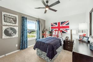 Willow Wood Classic 50