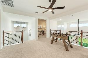 Willow Wood Classic 60