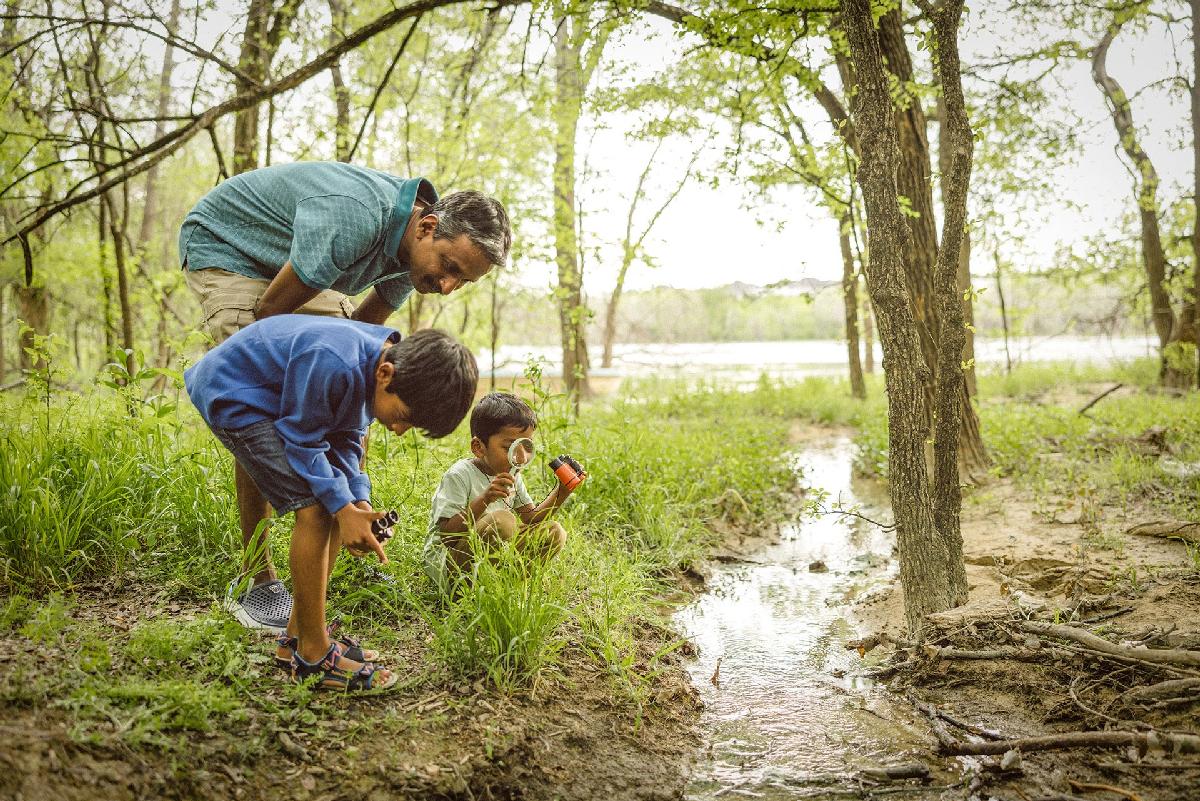 Painted Tree Woodland District 50