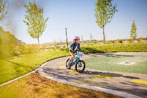 Painted Tree Woodland District 50