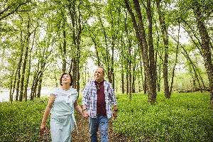 Painted Tree Woodland District 50