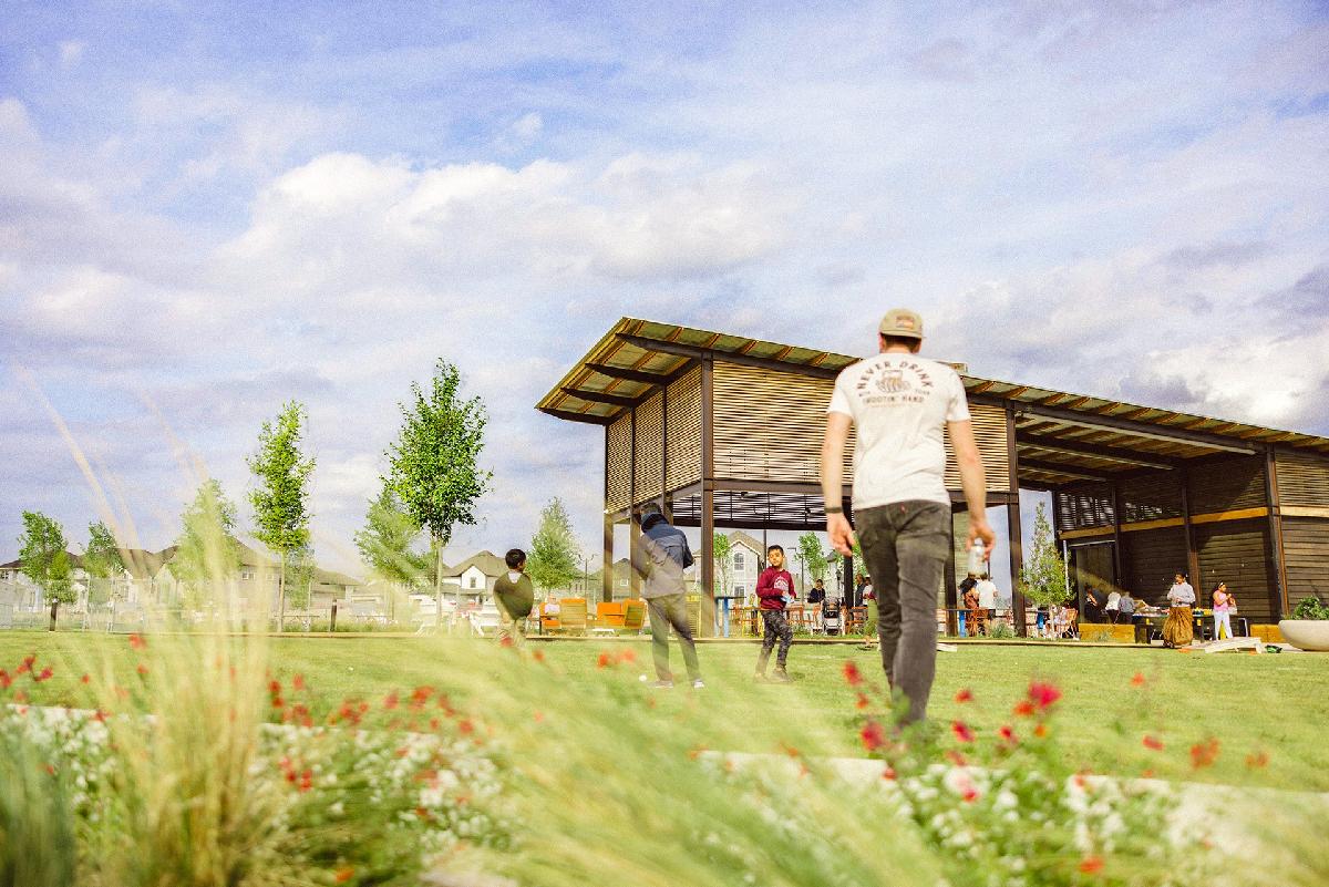 Painted Tree Woodland District 60